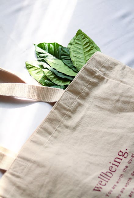 eco bag reusable