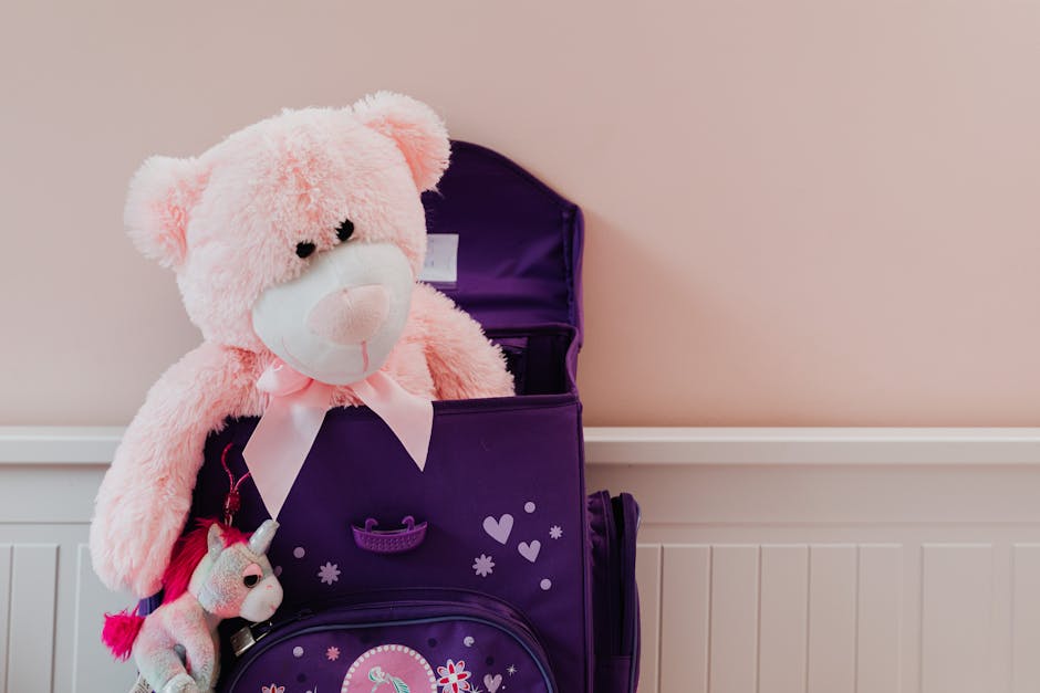 toy storage organize