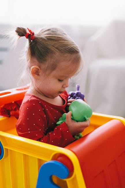 toys subscription