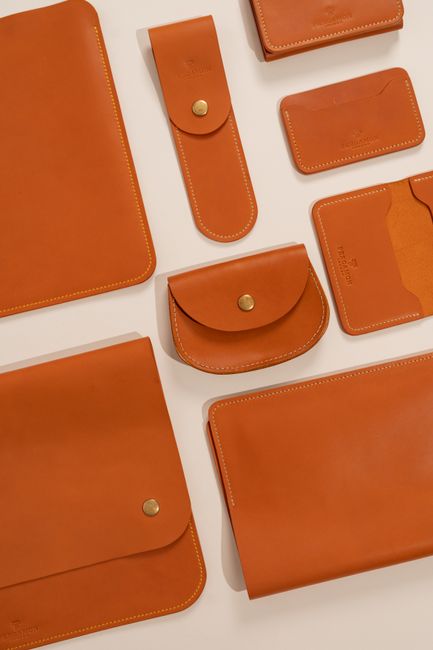card holder pass case