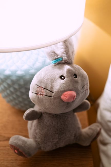 stuffed animal plush toy