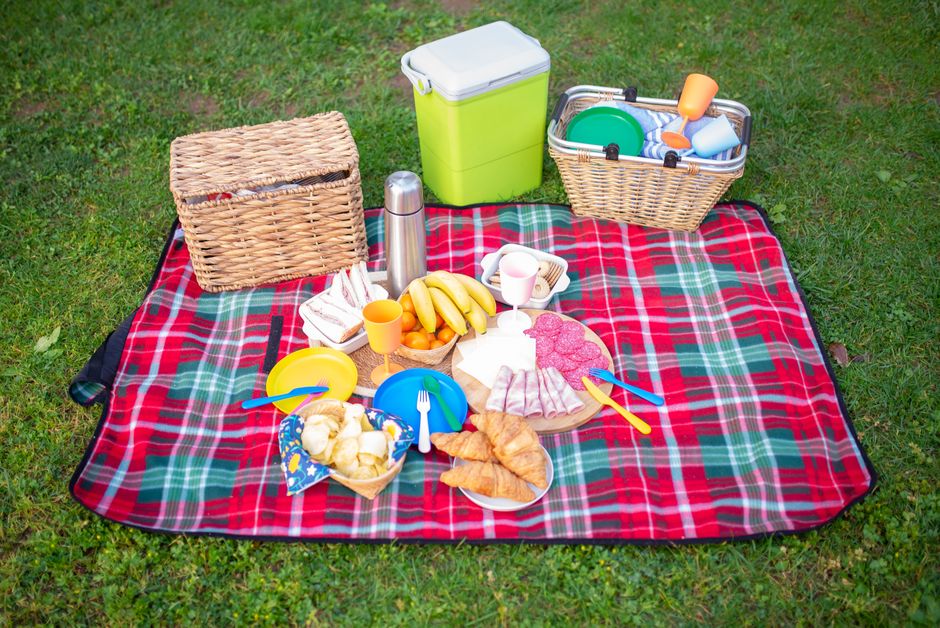 cooler bag picnic