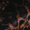 パイソンレザー特有の鱗模様のクローズアップ