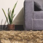 毛足の長いラグを敷いたリビングの床と観葉植物
