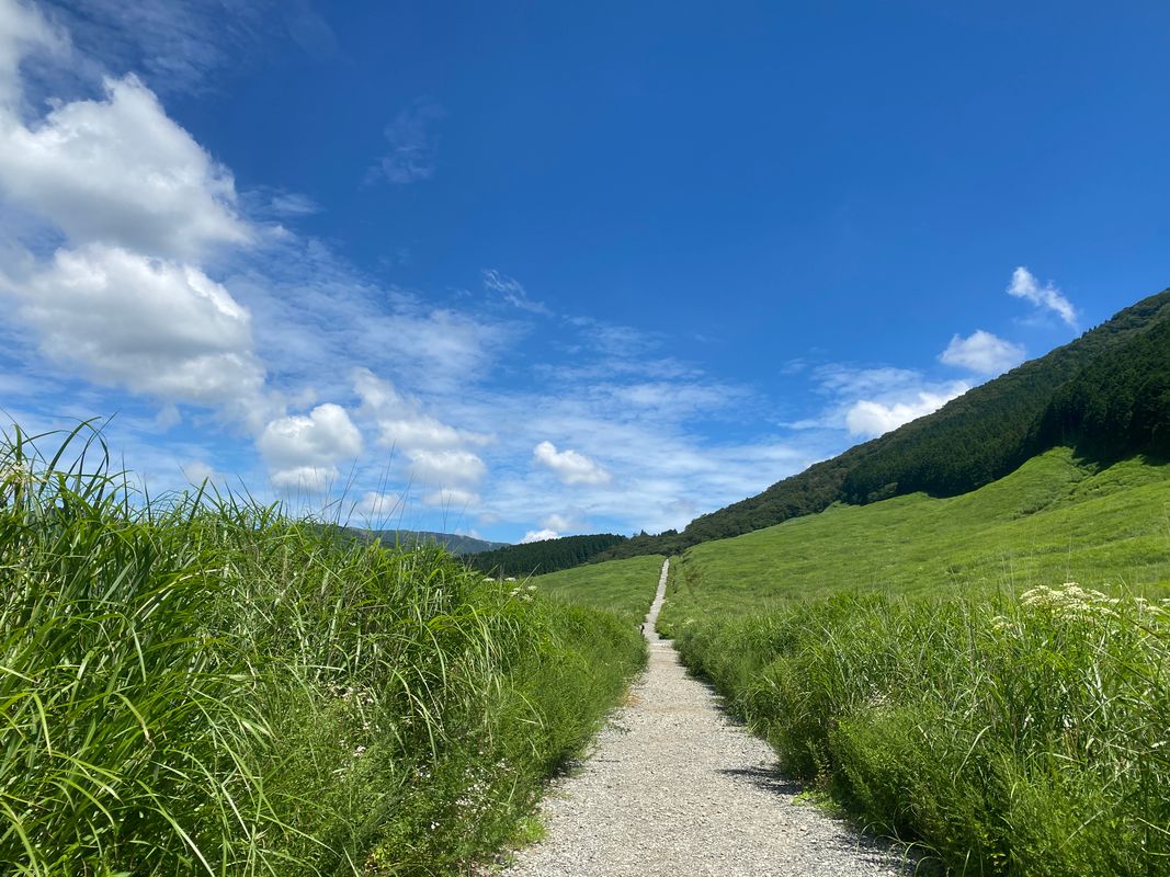 緑豊かな高原に続く一本道
